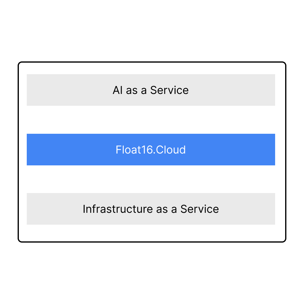 Float16 is hybrid between AI as a Service and Infrastructure as a Service